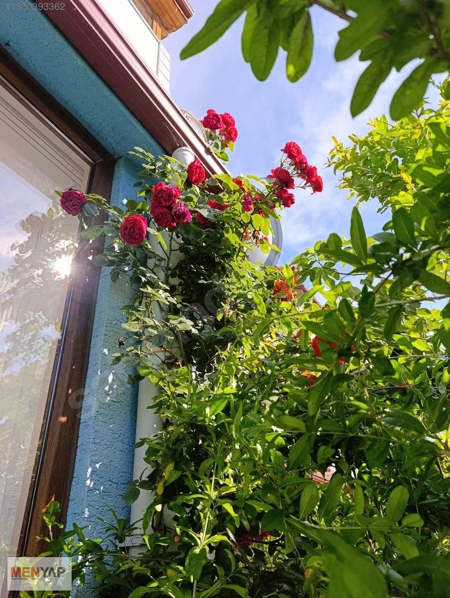 Yeniçiftlik’te Kalabalık Aileler İçin Bahçeli Müstakil 5+1 Villa — fotoğraf 2