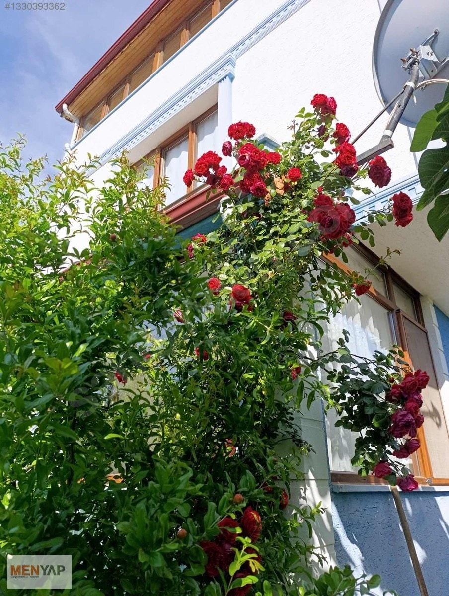 Yeniçiftlik’te Kalabalık Aileler İçin Bahçeli Müstakil 5+1 Villa — fotoğraf 7