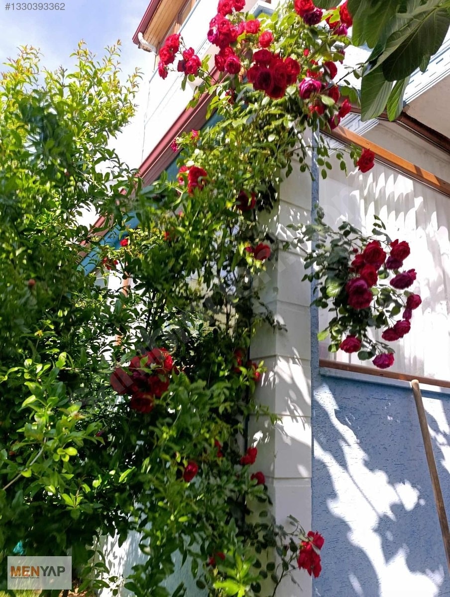 Yeniçiftlik’te Kalabalık Aileler İçin Bahçeli Müstakil 5+1 Villa — fotoğraf 11