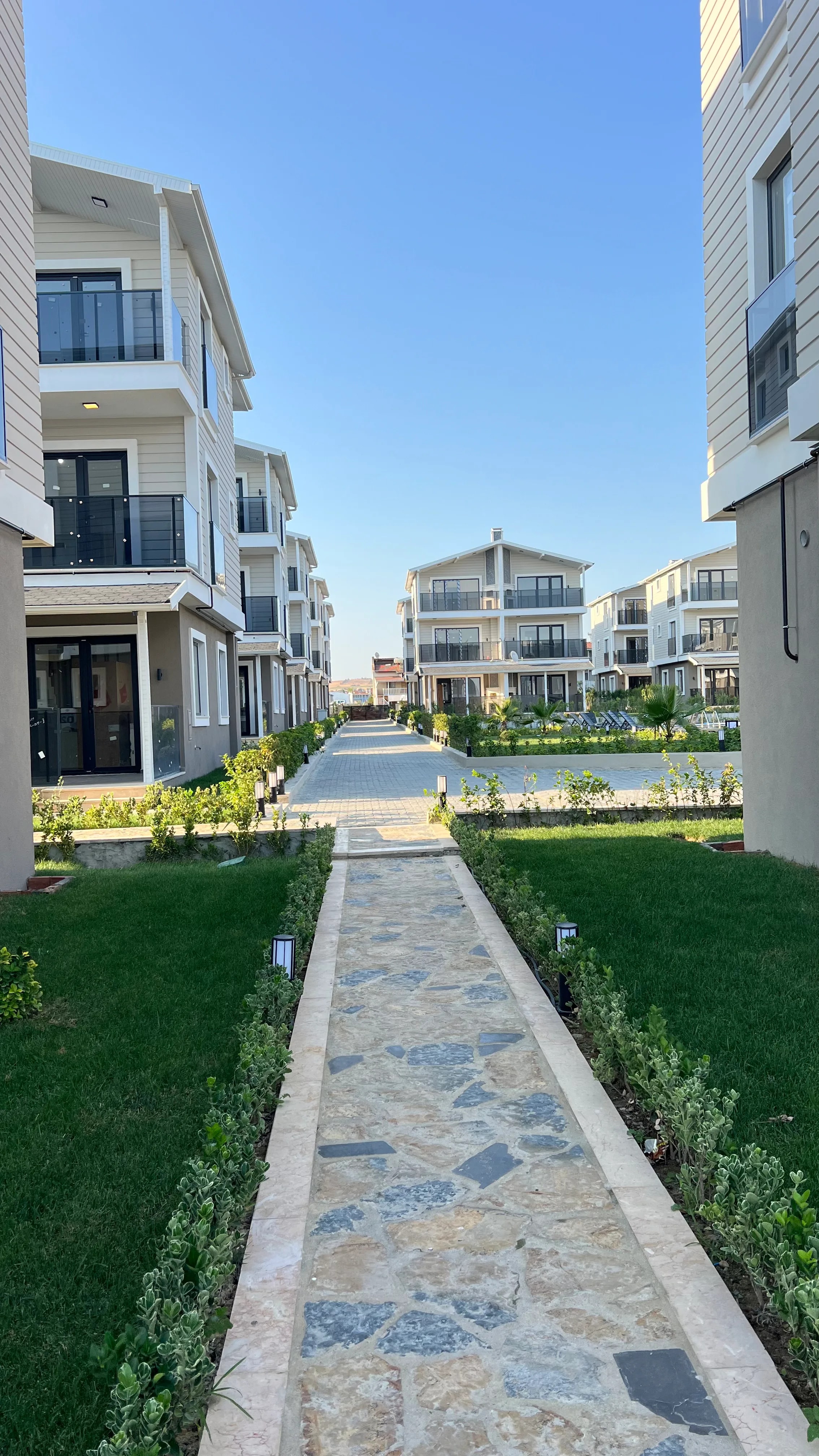 MENYAP Lilyum Sitesi