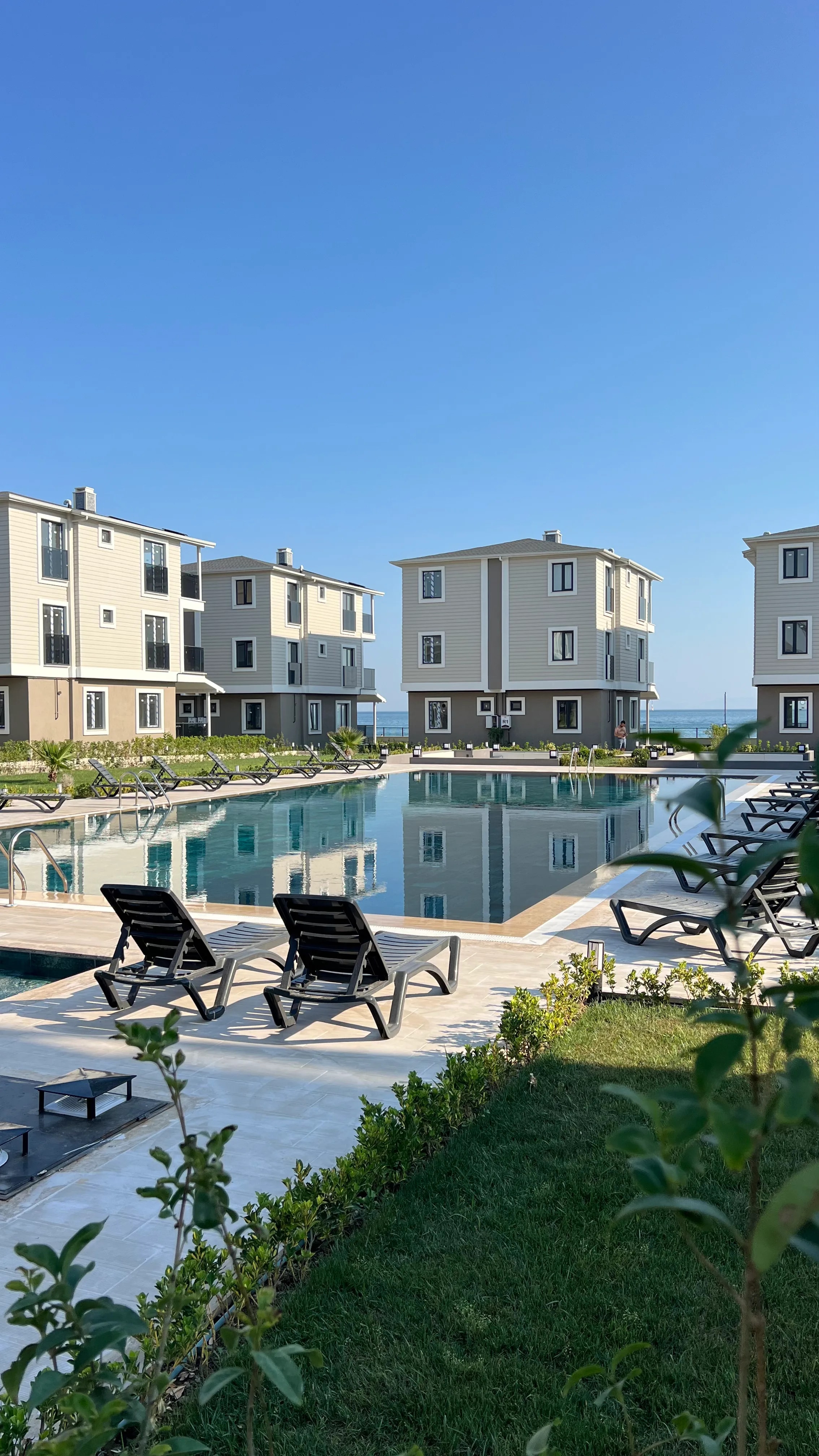 MENYAP Lilyum Sitesi